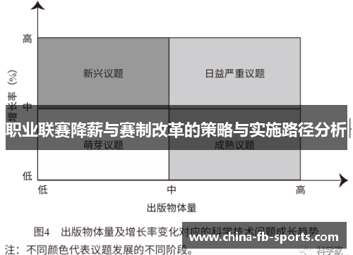 职业联赛降薪与赛制改革的策略与实施路径分析 职业联赛降薪与赛制改革的策略与实施路径分析