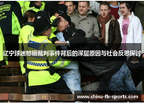 辽宁球迷怒砸裁判事件背后的深层原因与社会反思探讨 辽宁球迷怒砸裁判事件背后的深层原因与社会反思探讨